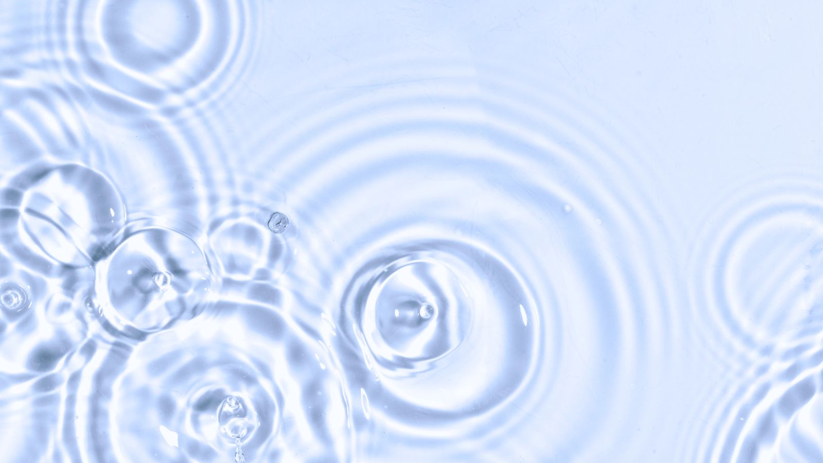 How every batch is tested, what the certificate of analysis shows, and how to read it.